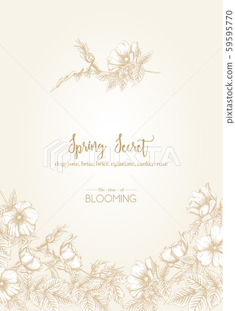 Dog-rose 59595770