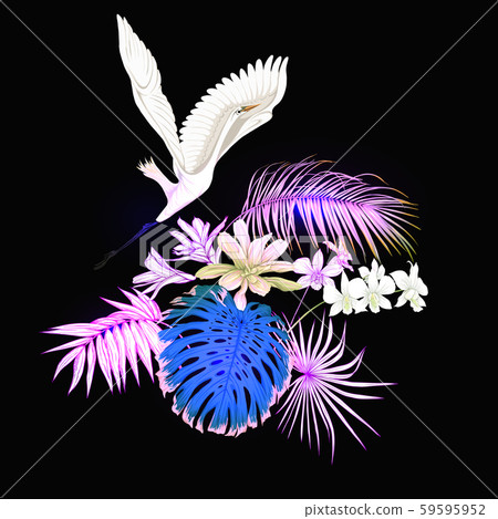 A composition of tropical plants, palm leaves A composition of tropical plants, palm leaves 59595952