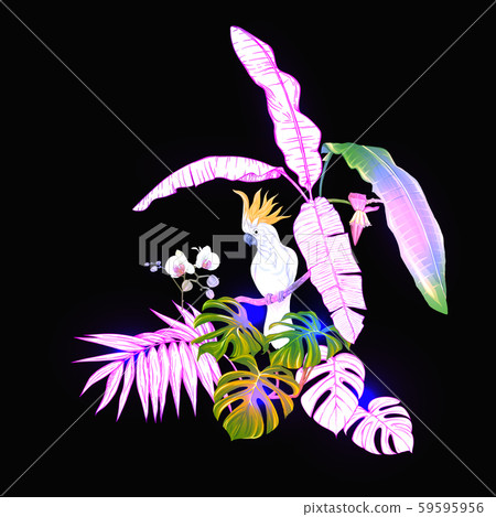 A composition of tropical plants, palm leaves 59595956