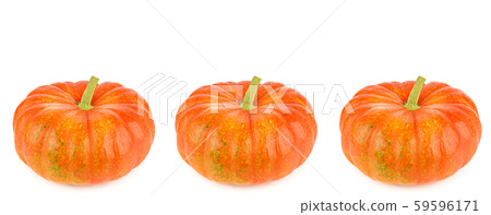Ripe pumpkins isolated on white background. Ripe pumpkins isolated on white background. 59596171