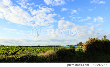 Autumn (field) Autumn (field) 59597253