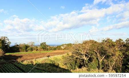 Autumn (field) 59597254