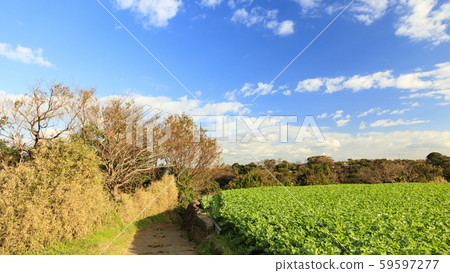 Autumn (field) 59597277