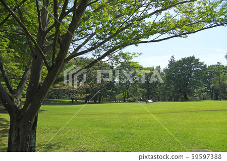 東京都調布市野川公園小金井市三鷹市 照片素材 圖片 圖庫