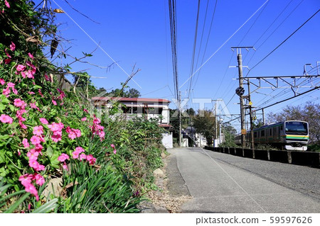 Four seasons railway and autumn 59597626