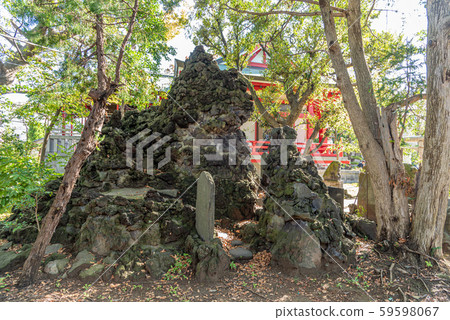 浦安三社稻荷神社藤塚 59598067