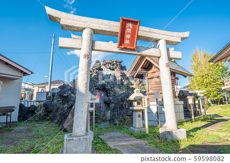浦安三社豐瀨神社藤塚 59598082