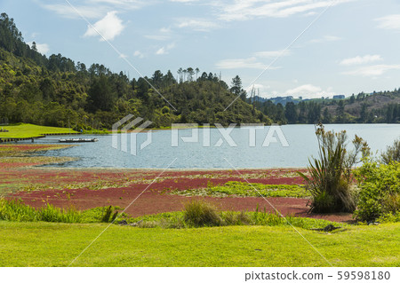 New Zealand Taupo Orakei Korako Geothermal Park & Cave 59598180
