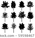 Maple trees 59598467
