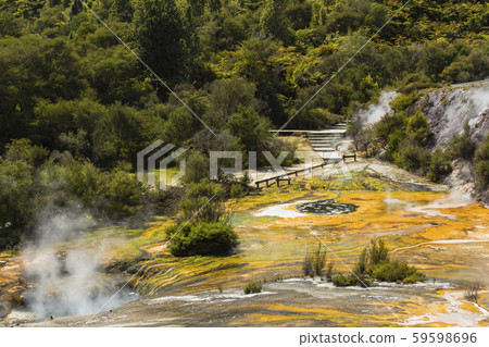 New Zealand Orakei Korako Geothermal Park & Cave Scenery 59598696