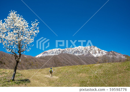 Oyama spring blue sky Oyama spring blue sky 59598776