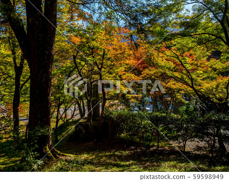 Tamba Koyo Sanzan Entsuji Temple 59598949