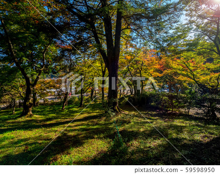 Tamba Koyo Sanzan Entsuji Temple 59598950