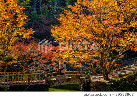 丹波光陽三山圓通寺 59598968