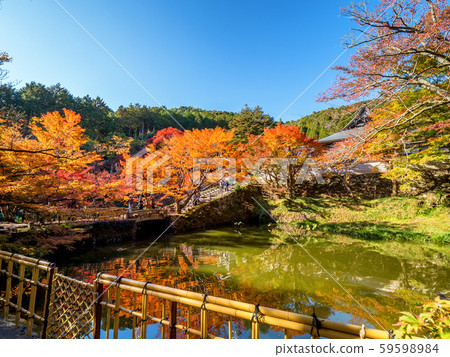 Tamba Koyo Sanzan Entsuji Temple Tamba Koyo Sanzan Entsuji Temple 59598984