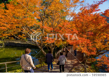 Tamba Koyo Sanzan Entsuji Temple 59598985