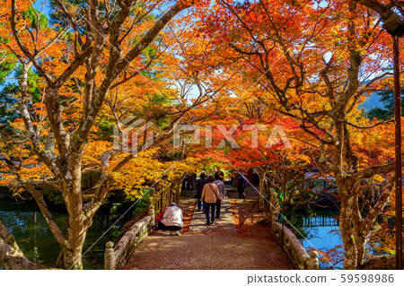 丹波光陽三山圓通寺 59598986