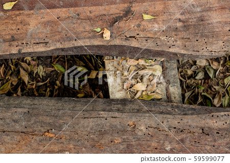 Two separate wooden put on the floors 59599077