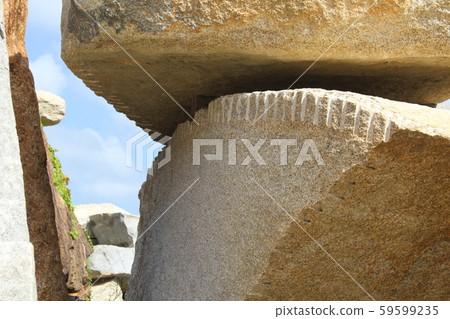 粗糙的皮膚 59599235