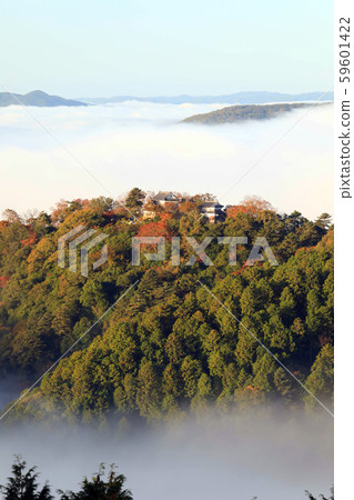 Castle in the Sky 6560 59601422