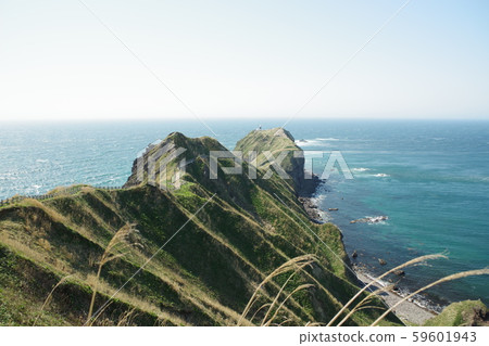 神岬的動力 59601943