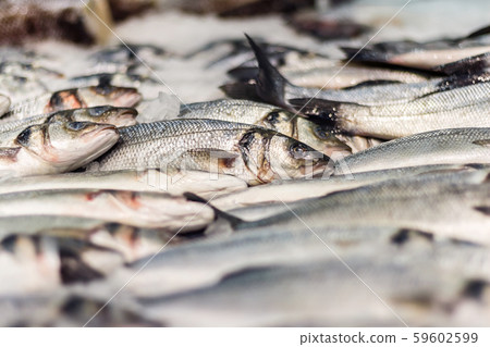 Fresh sea fish in ice 59602599