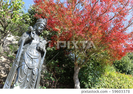 Shogun temple Shogun temple 59603378