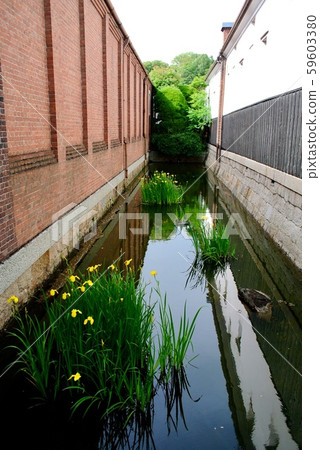 [Okayama] Kurashiki Bikan area (Hori) 59603380