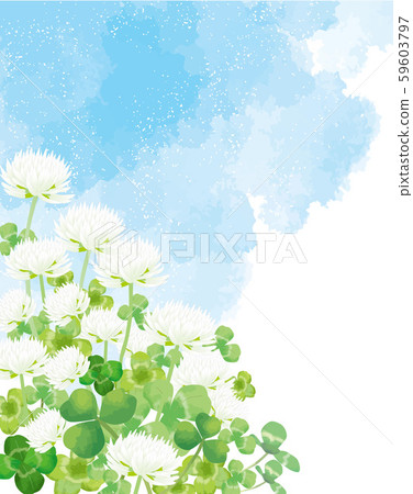 White clover: white clover, spring, spring flowers, grassland, nature, flowers, April, group, sunny weather, blue sky White clover: white clover, spring, spring flowers, grassland, nature, flowers, April, group, sunny weather, blue sky 59603797