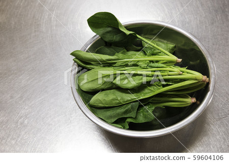 Spinach / Green-yellow vegetable image material: Fresh spinach with plenty of nutrition (vertical copy space) Spinach / Green-yellow vegetable image material: Fresh spinach with plenty of nutrition (vertical copy space) 59604106