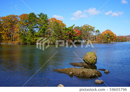 北海道,函館,大沼湖 北海道,函館,大沼湖 59605796