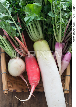 Various radishes Various radishes 59608055