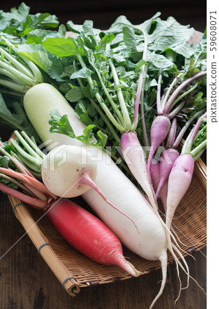 Various radishes 59608071