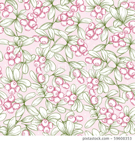 Cranberry. Seamless pattern Cranberry. Seamless pattern 59608353