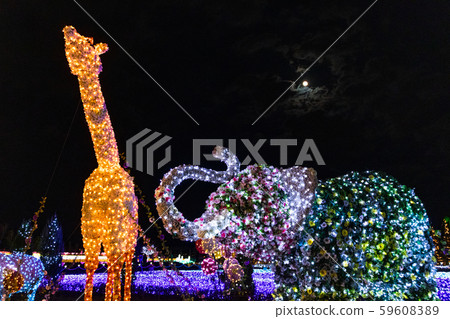 Zoo-likeness Zoo-likeness 59608389