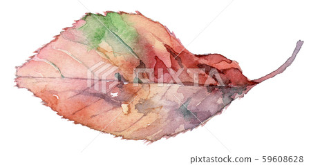 Fallen leaves watercolor 59608628