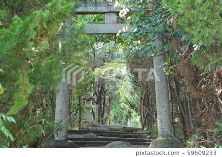 鳥居 鳥居 59609233