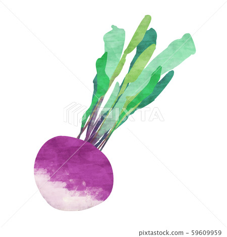 Purple turnip / turnip Purple turnip / turnip 59609959