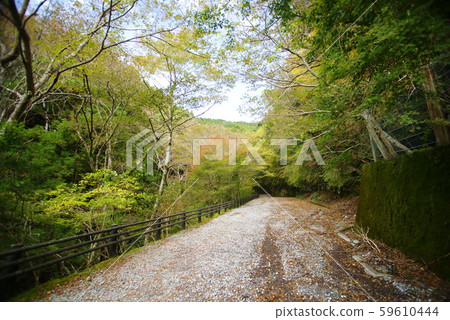 Odon Sidewalk Odon Sidewalk 59610444