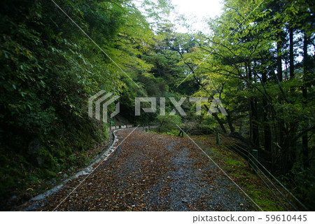 Odon Sidewalk Odon Sidewalk 59610445