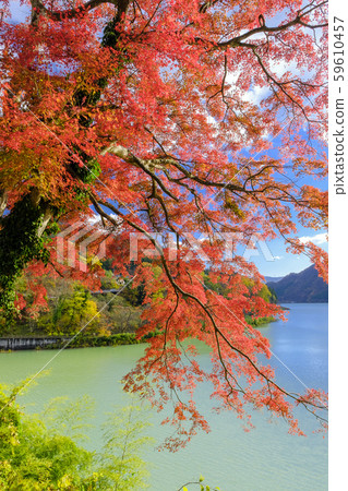 秋葉和秋葉湖（垂直） 59610457