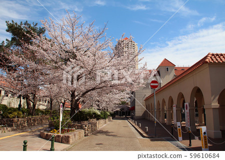 Takarazuka Revue and Flower Path 59610684