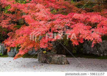 Tengui-an在秋天 59611157