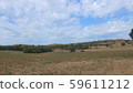 Plain 59611212