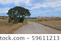 one road  59611213