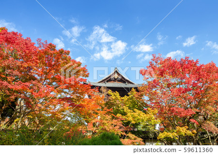 Nanzenji Sanmon門從Tensenan看 59611360