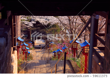 Sando staircase and Niomon gate looking down from Yakudo Sando staircase and Niomon gate looking down from Yakudo 59611373
