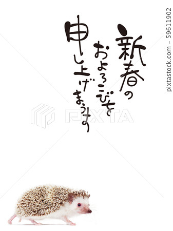 2020, hedgehog new year card 2020, hedgehog new year card 59611902