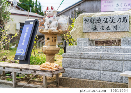 Cat in Aoshima 59611964