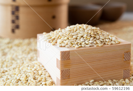 Glutinous wheat Glutinous wheat 59612196